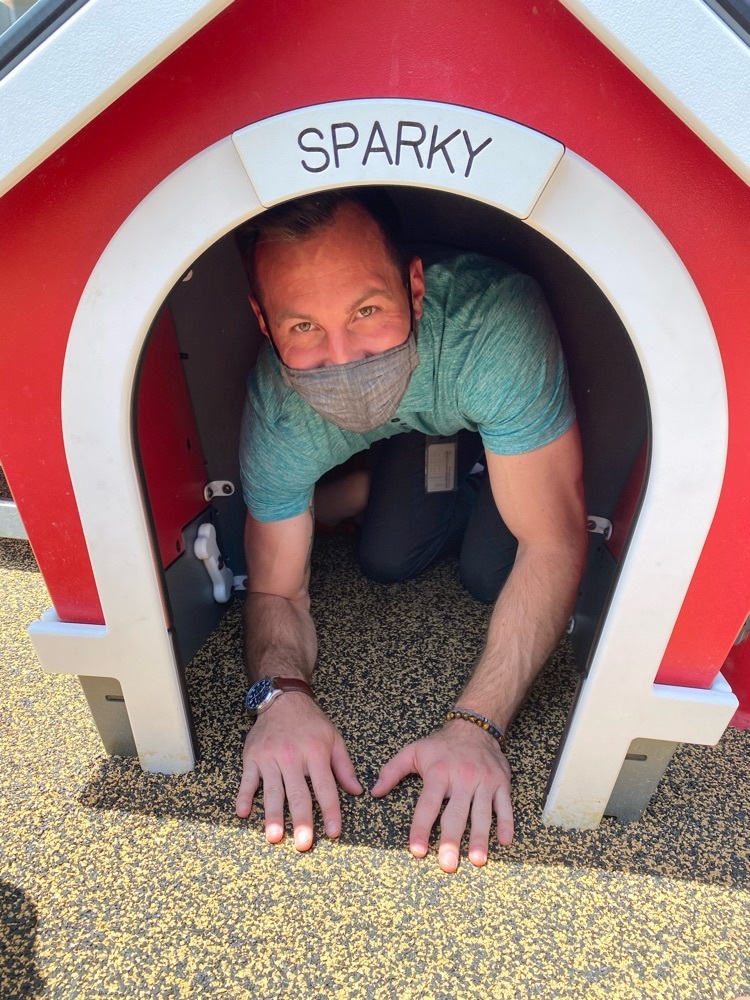 Why is Mr.Sutton in the doghouse?