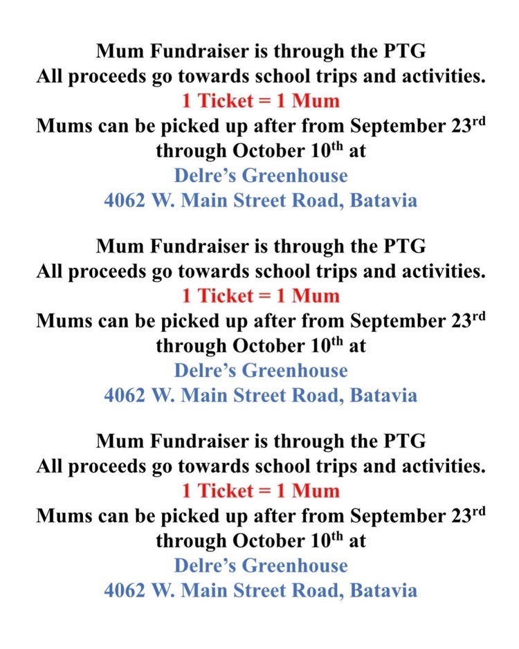 mum fundraiser